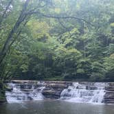 Review photo of Mash Fork Campground — Camp Creek State Park by Nicole M., August 9, 2022