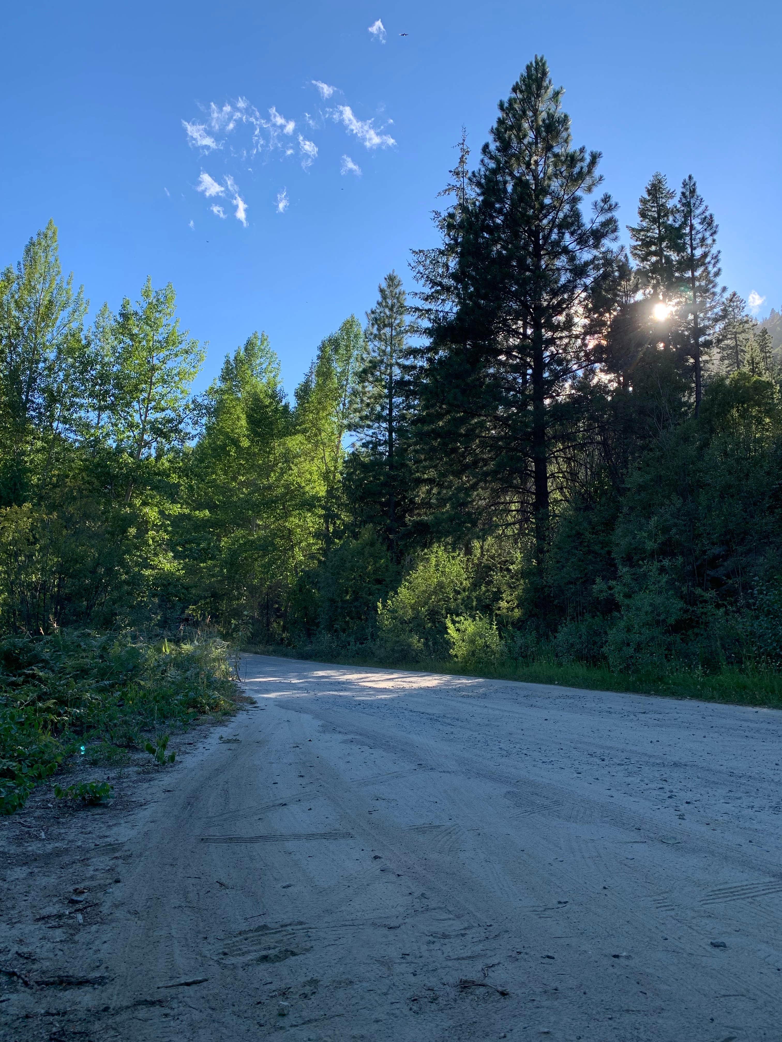 Camper-submitted photo at Roadside Dispersed Site - FS7601 near Cashmere, WA