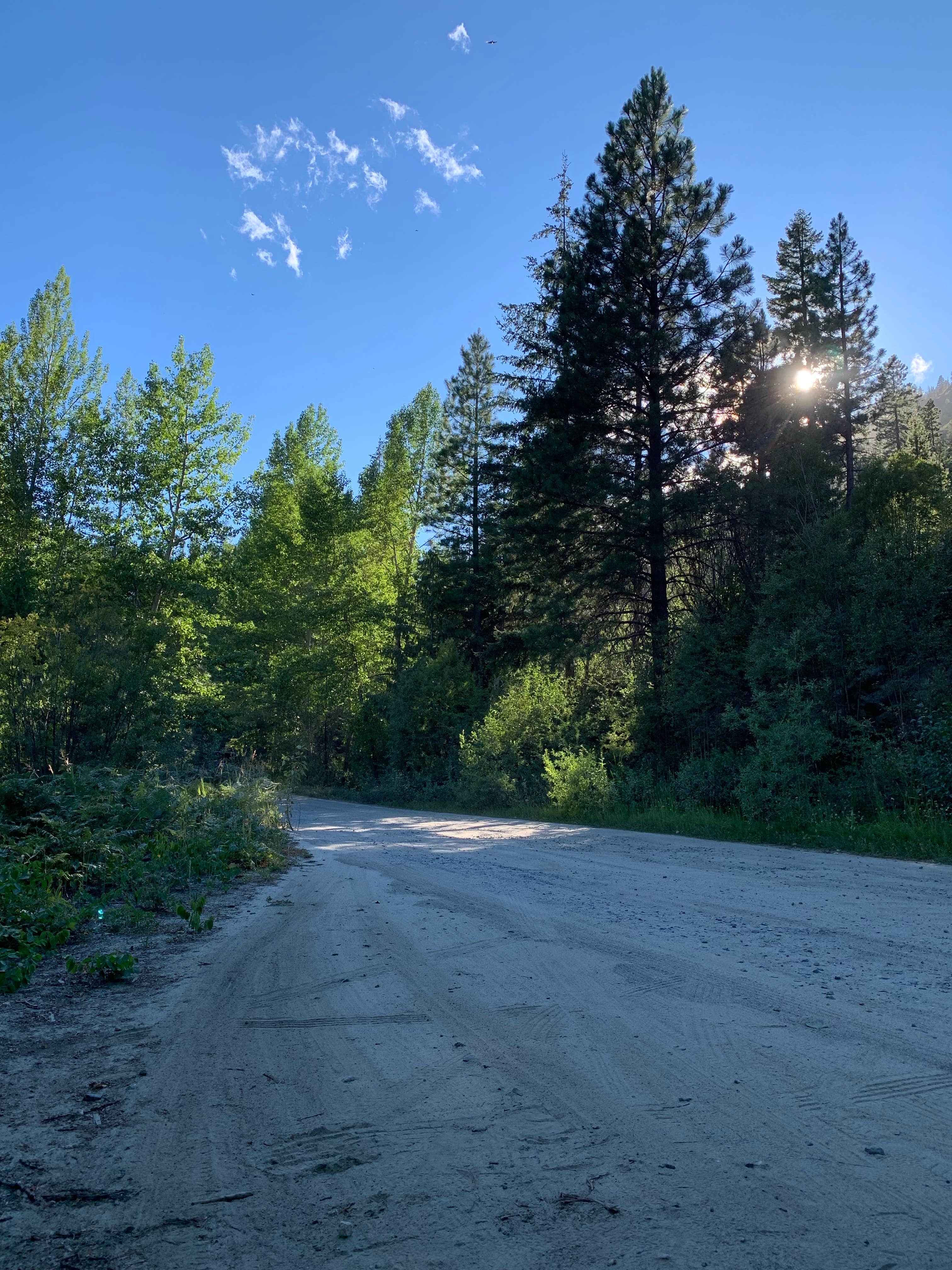 Camper submitted image from Roadside Dispersed Site - FS7601 - 3