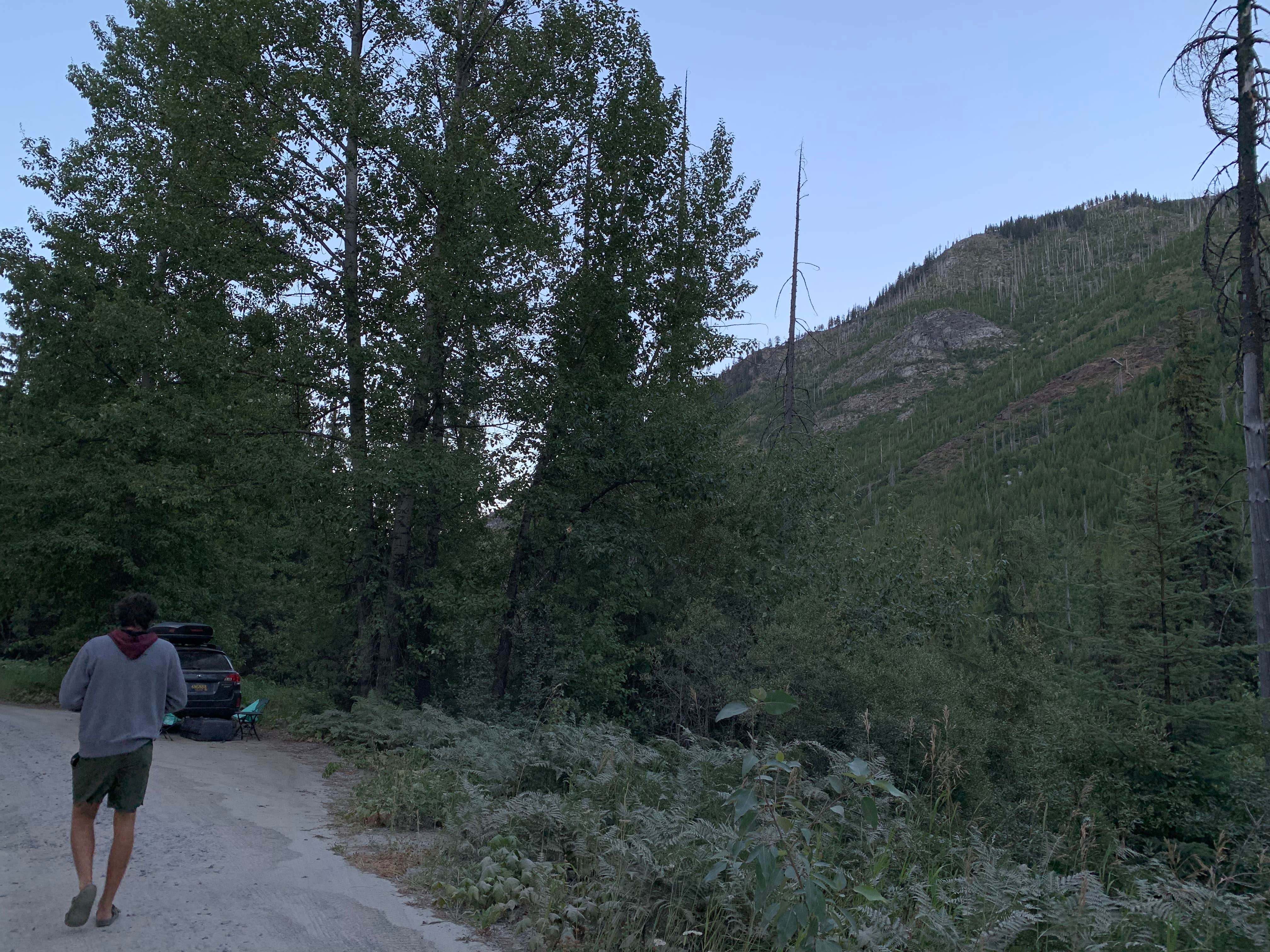 Camper-submitted photo at Roadside Dispersed Site - FS7601 near Cashmere, WA
