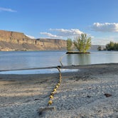 Review photo of Bay Loop Campground — Steamboat Rock State Park by Lee D., August 9, 2022