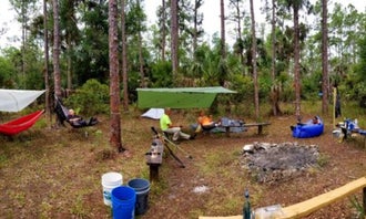 Camping near J. W. Corbett WMA Primitive Camp: Little Gopher, Canal Point, Florida