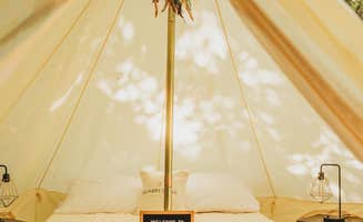 Quarry C.'s photo at Lakefront Glamping Resort Cherokee Lake Tennessee near Pennington Gap, VA