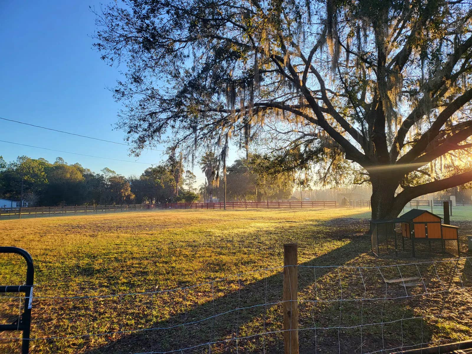 Camper submitted image from Bell Family Farm - 1