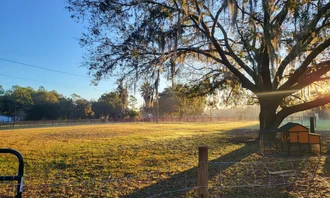Camping near Saddle Creek Park and Campground: Bell Family Farm, Polk City, Florida