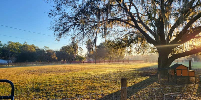 Camper submitted image from Bell Family Farm