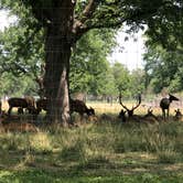 Review photo of Botna Bend County Park by Jenn P., August 9, 2022