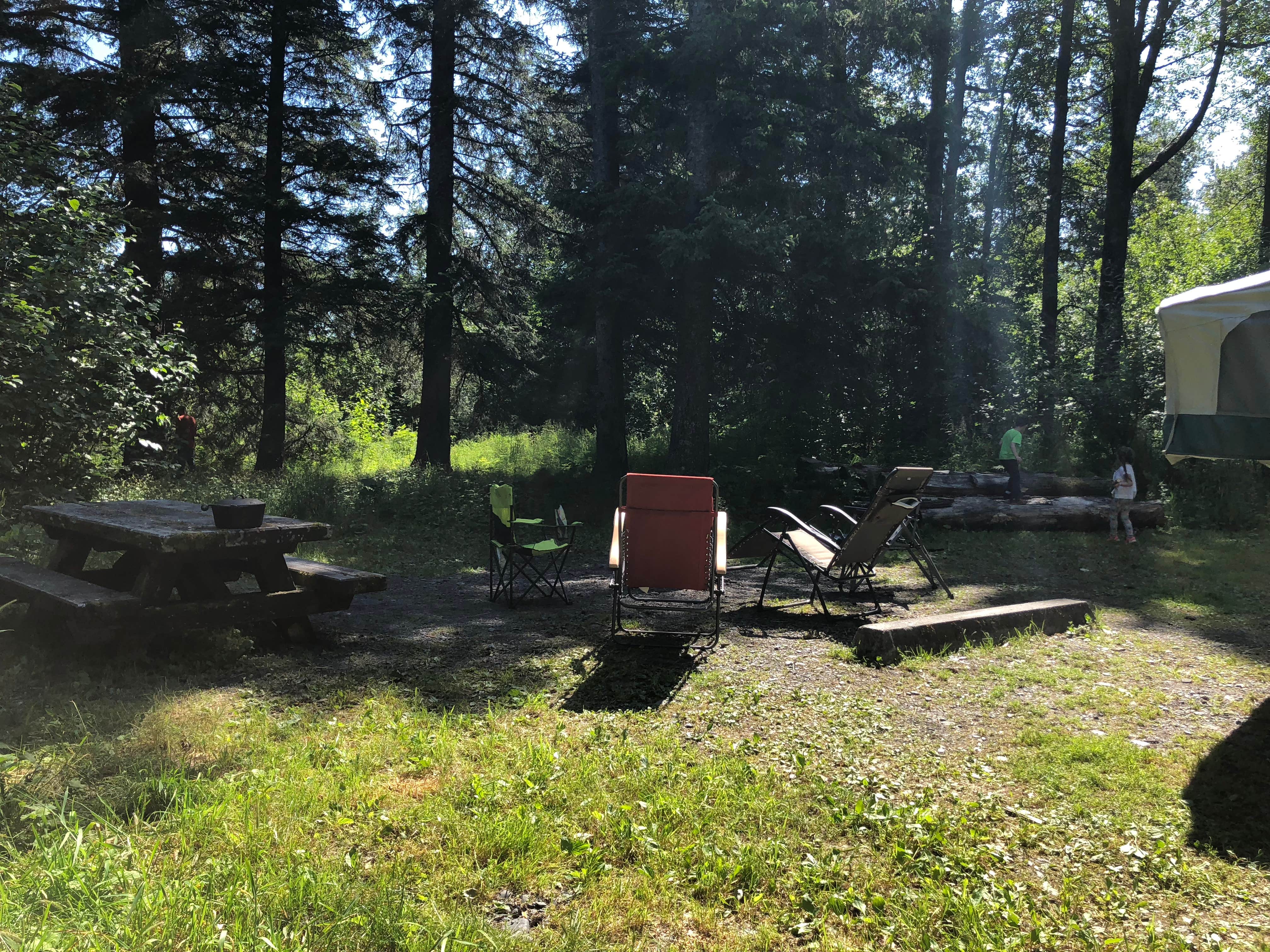 Camper submitted image from Forest Acre Campground - 5