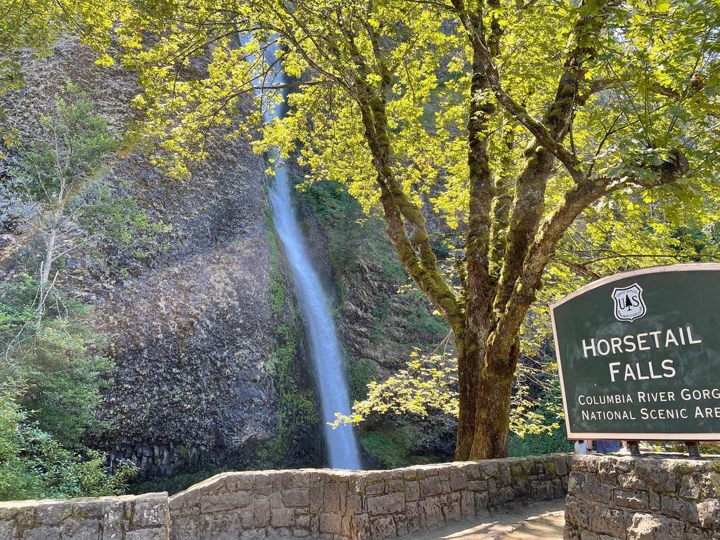 Camper-submitted photo at Ainsworth State Park Campground near Yacolt, WA