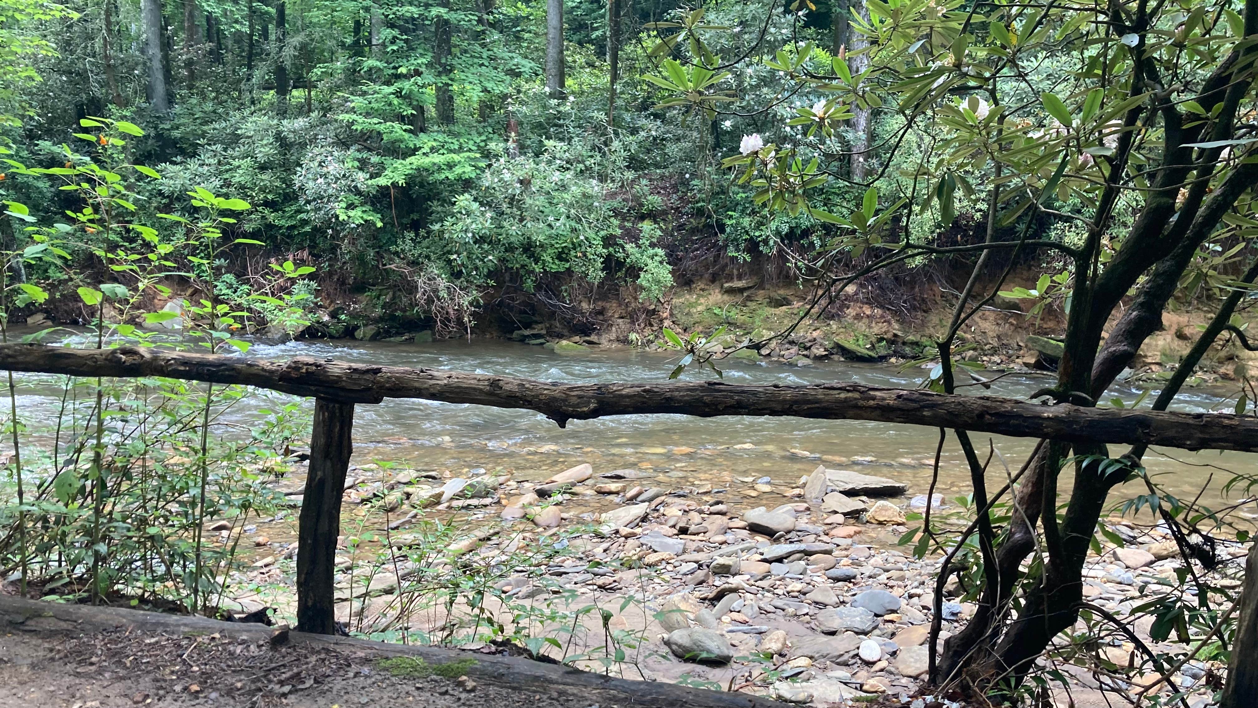 Camper-submitted photo at Lazy J Campground near Pisgah Forest, NC