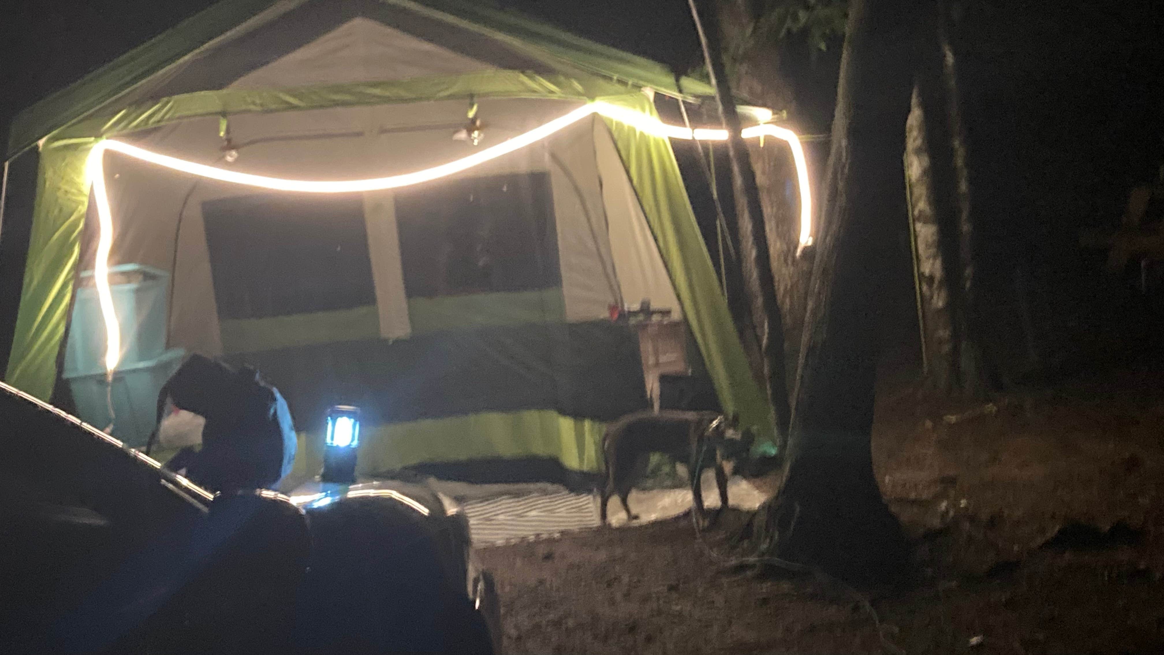 Camper submitted image from Lazy J Campground - 1