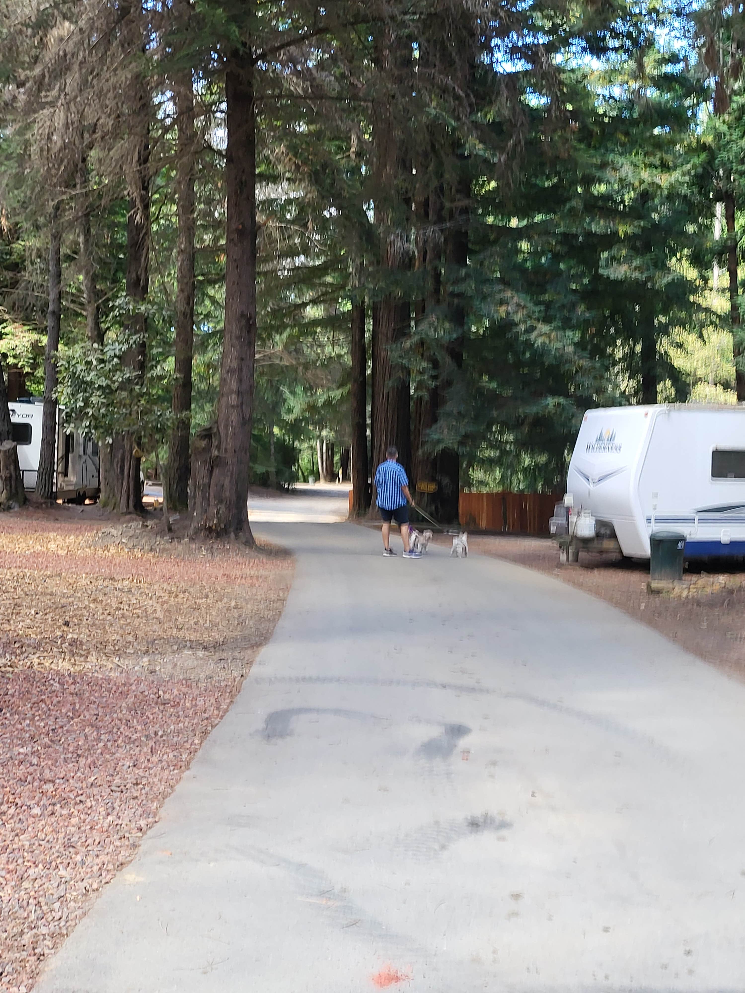 Camper-submitted photo at Wildwood RV Park & Campground near Point Arena, CA