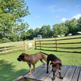 Review photo of Travel Resorts of America Bass Lake Resort by Karen S., August 10, 2022