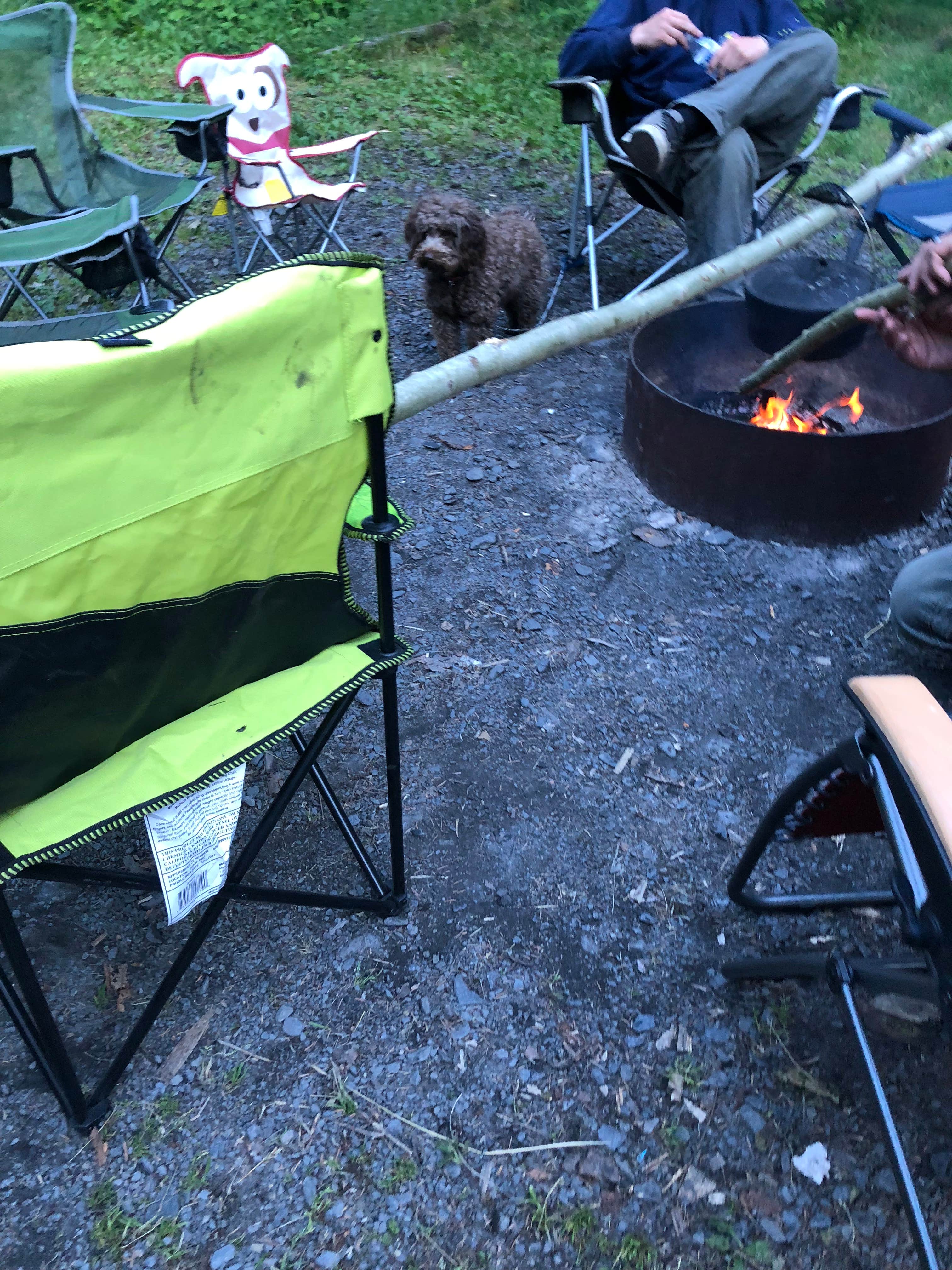 Samantha M.'s photo of camping with pets at Forest Acre Campground near Cooper Landing, AK