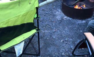 Samantha M.'s photo of camping with pets at Forest Acre Campground near Cooper Landing, AK