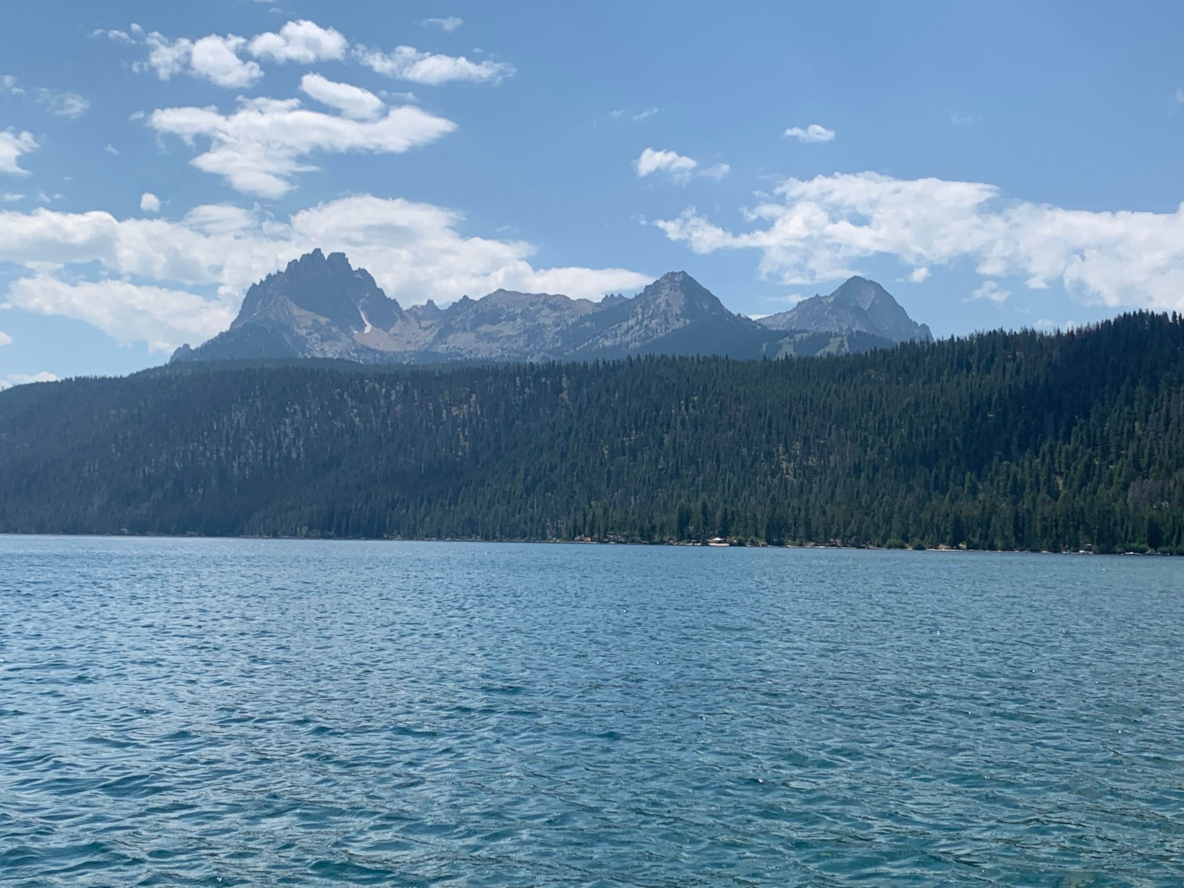 Eric G.'s photo of a dispersed camping area at County Road 210 Dispersed near Salmon-Challis National Forest