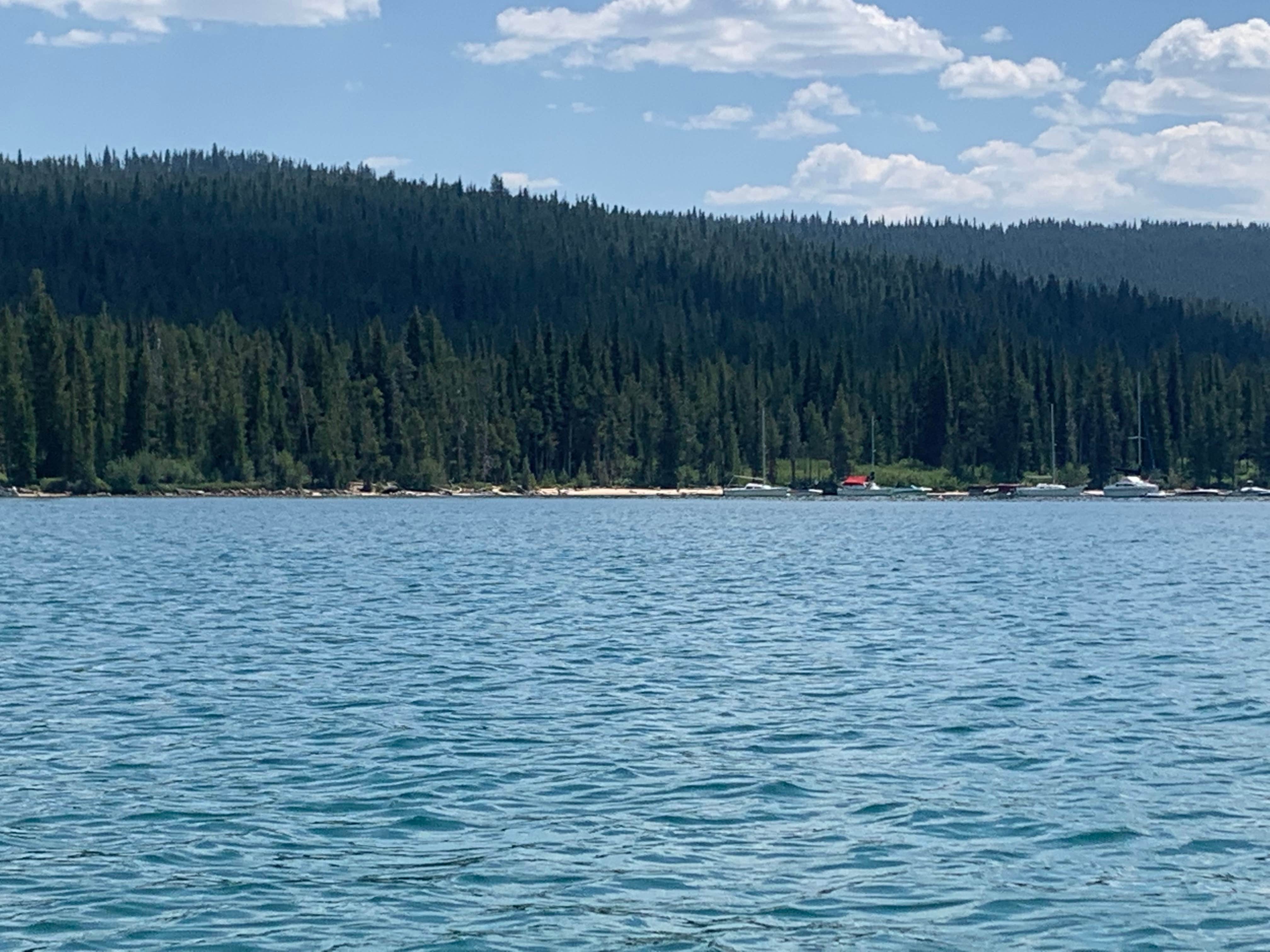 Camper-submitted photo at County Road 210 Dispersed near Clayton, ID