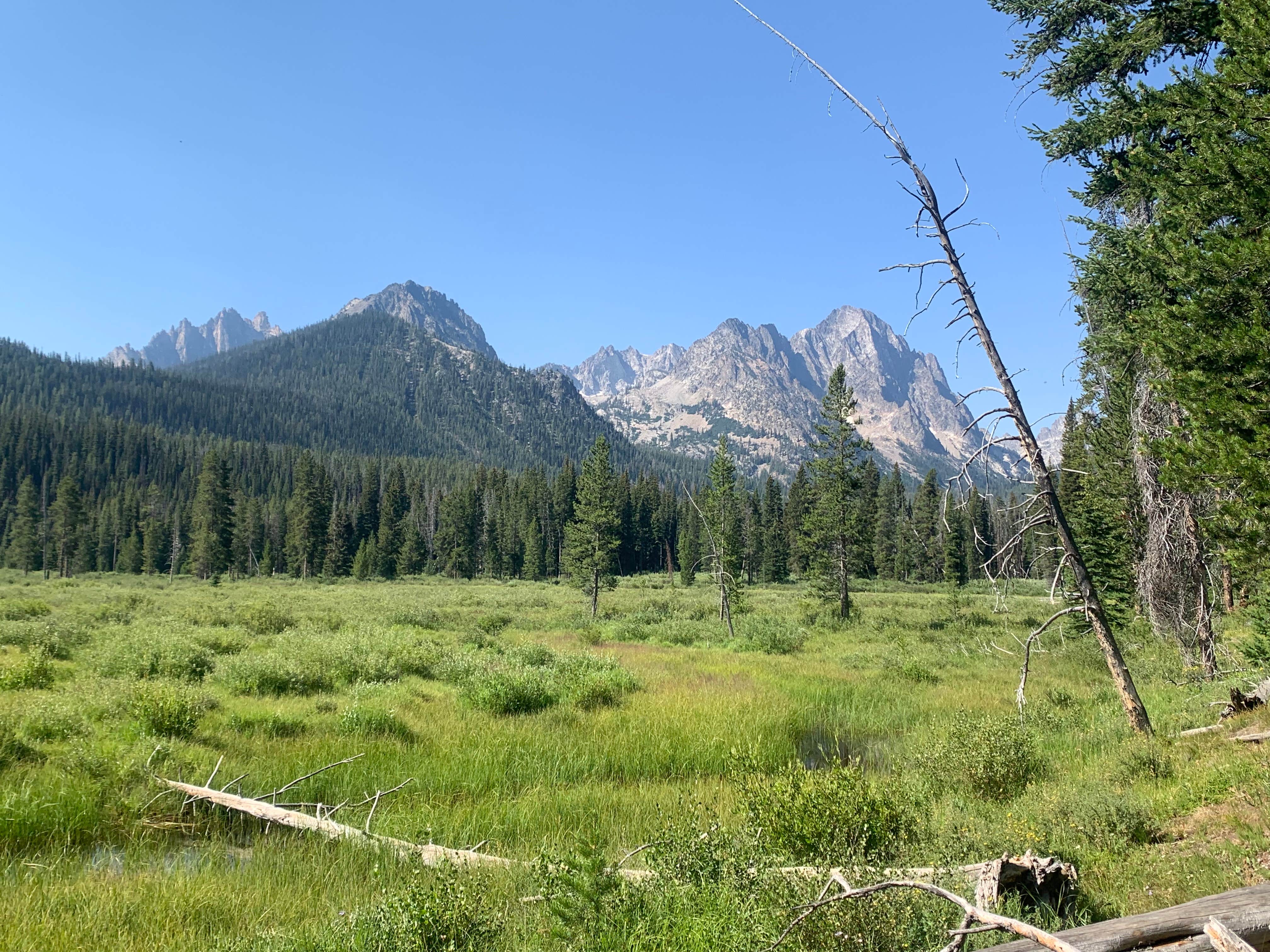 Camper-submitted photo at County Road 210 Dispersed near Stanley, ID