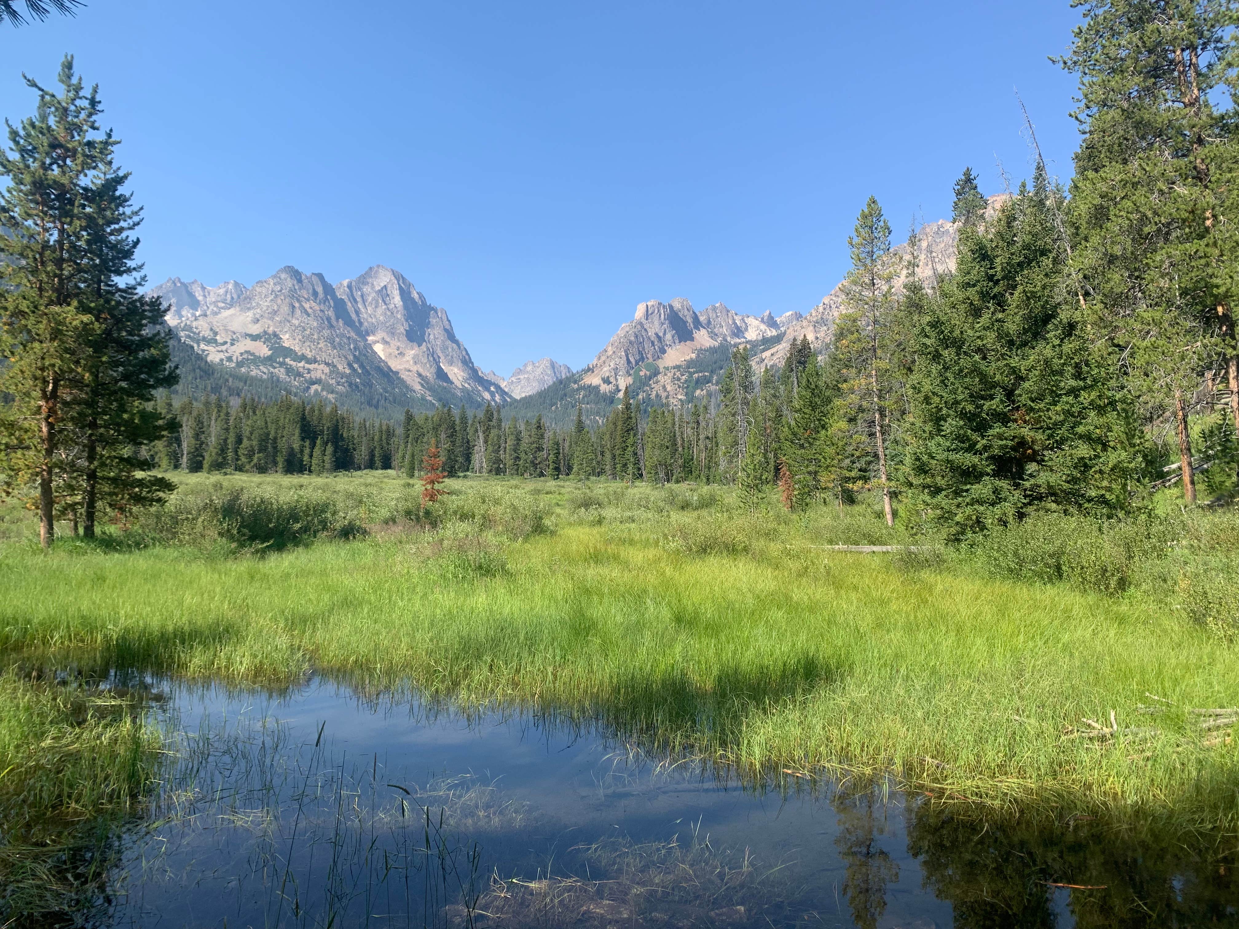 Camper-submitted photo at County Road 210 Dispersed near Stanley, ID