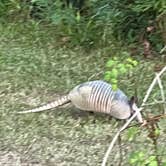 Review photo of Poverty Point Reservoir State Park Campground by Lacey G., August 10, 2022