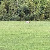 Review photo of Poverty Point Reservoir State Park Campground by Lacey G., August 10, 2022