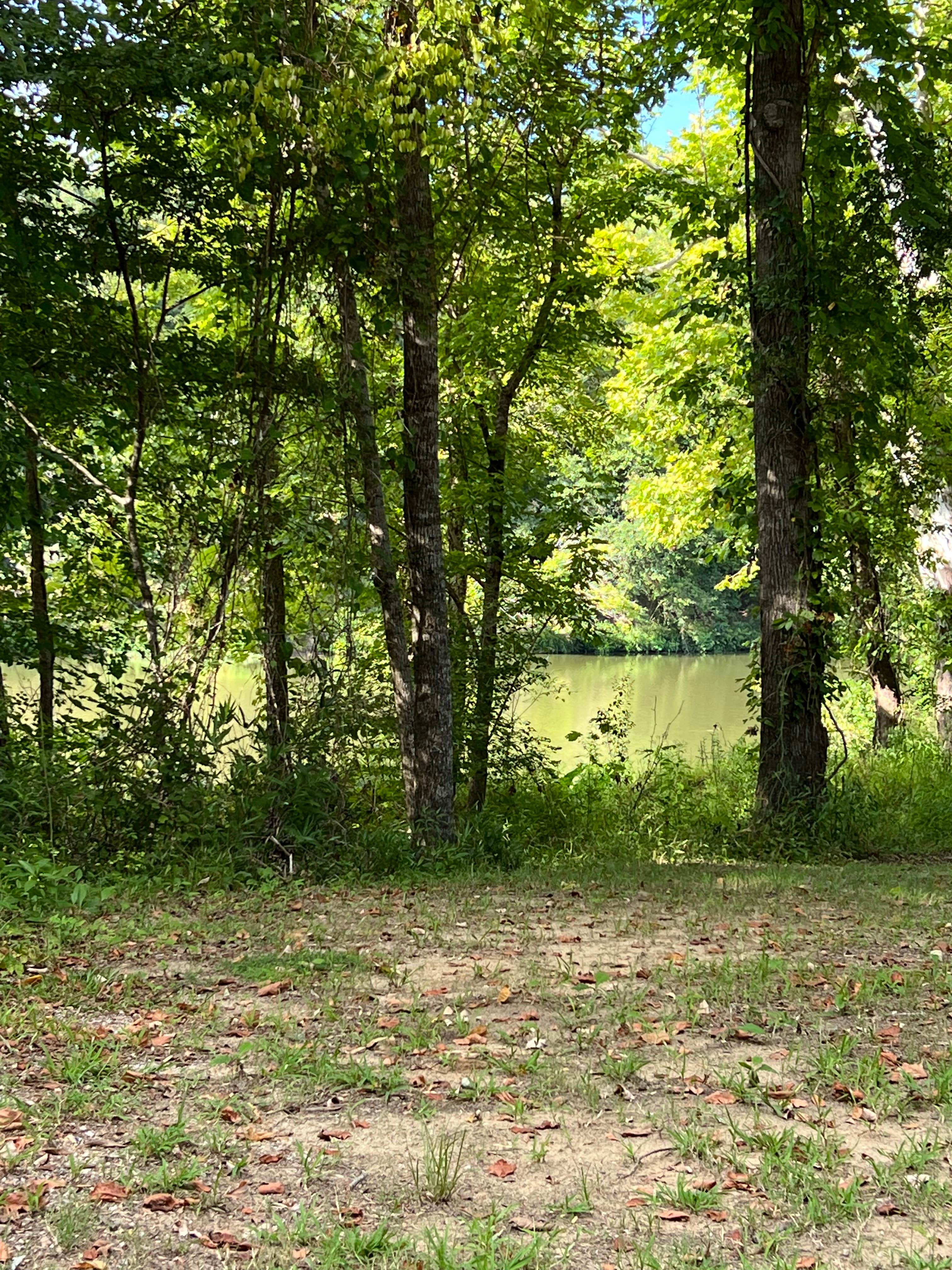 Camper-submitted photo at Town Creek near Tennessee-Tombigbee Waterway