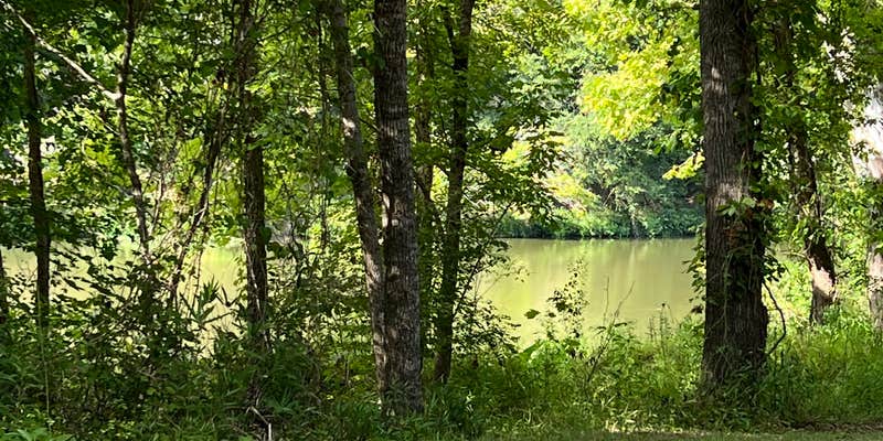 Camper submitted image from Town Creek