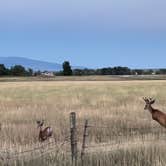 Review photo of Ackley Lake State Park Campground by Samantha H., August 10, 2022