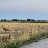 Review photo of Ackley Lake State Park Campground by Samantha H., August 10, 2022