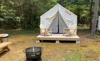 The Dyrt's photo at Tentrr State Park Site - Mississippi Wall Doxey State Park - Fresh Field D - Single Camp near Potts Camp, MS
