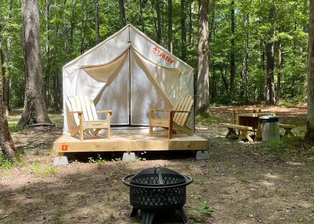 Tentrr State Park Site Mississippi Wall Doxey State Park Woodland F