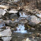 Review photo of Difficult Campground by Crystal C., July 23, 2018