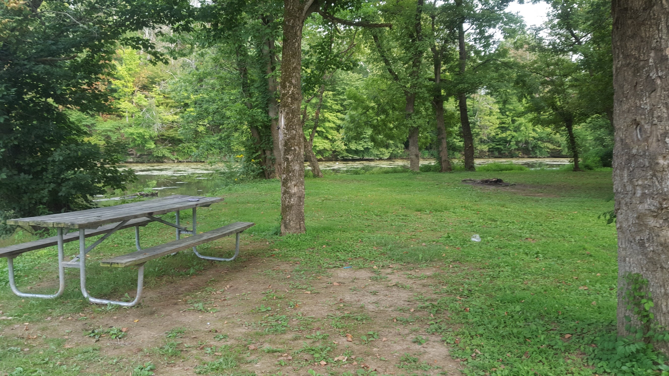 Camper submitted image from Lake Shelby Campground - 5