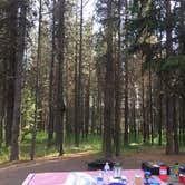 Review photo of Targhee National Forest Buttermilk Campground by Colleen C., July 23, 2018
