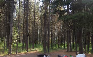 Colleen C.'s photo at Targhee National Forest Buttermilk Campground near Dubois, ID