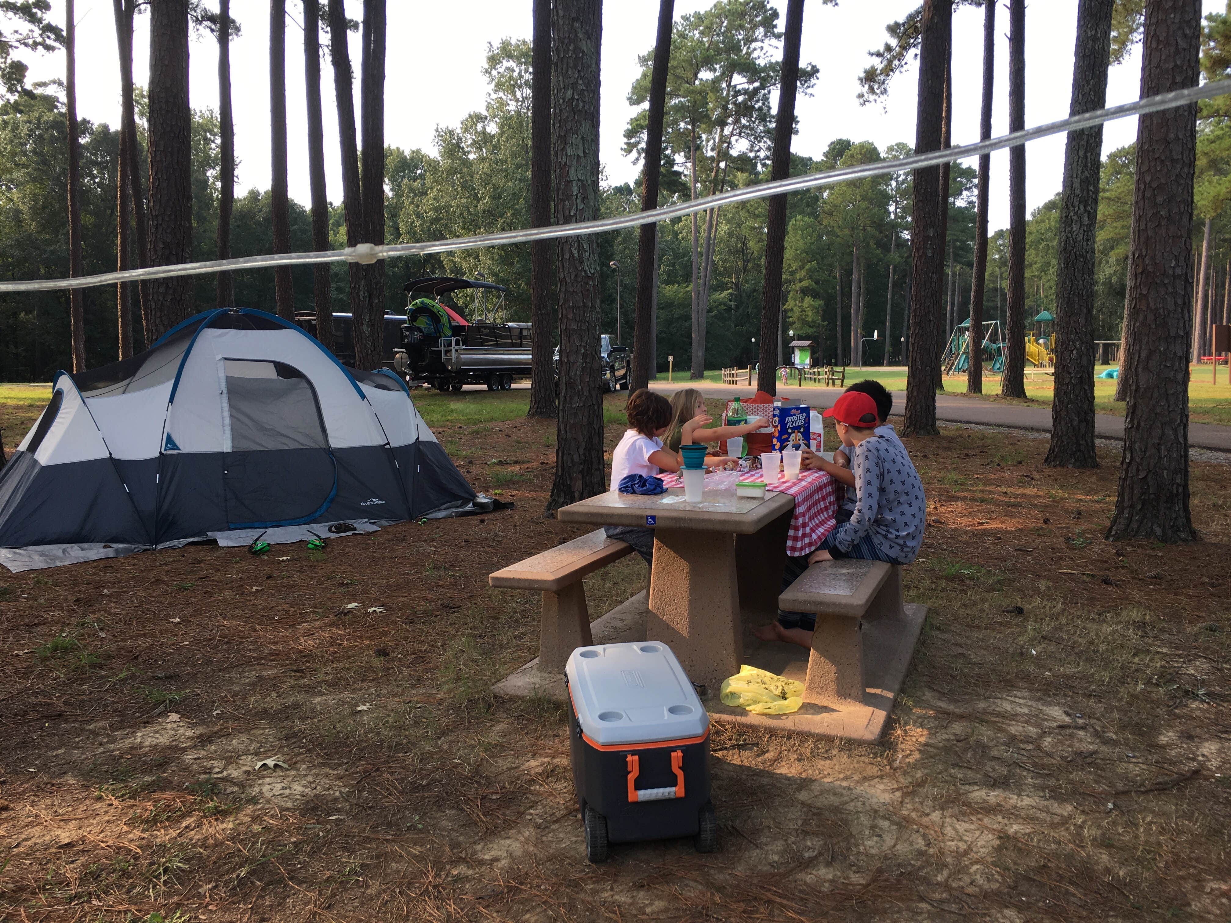 Brandie D.'s photo at Persimmon Hill(enid Lake) near Sardis, MS