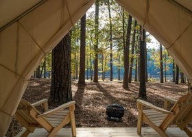 Tentrr State Park Site - Mississippi Roosevelt State Park - Tall Trees C - Single Camp