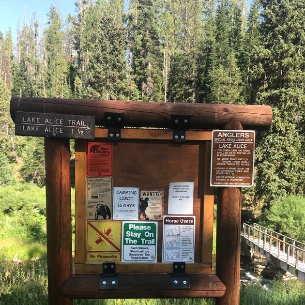 Lake Alice Camping Lincoln, WY