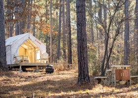 Tentrr State Park Site - Mississippi Clarkco State Park - Trailside E - Single Camp