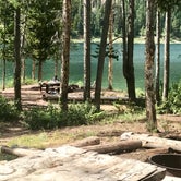 Review photo of Lake Alice by Carrie C., July 23, 2018