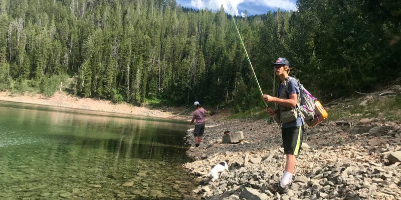 Camper submitted image from Lake Alice