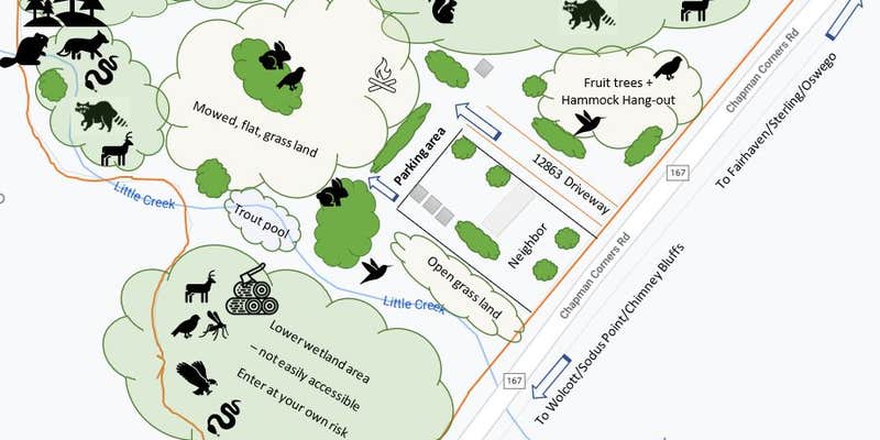 Camper submitted image from Future site of Little Creek Camp