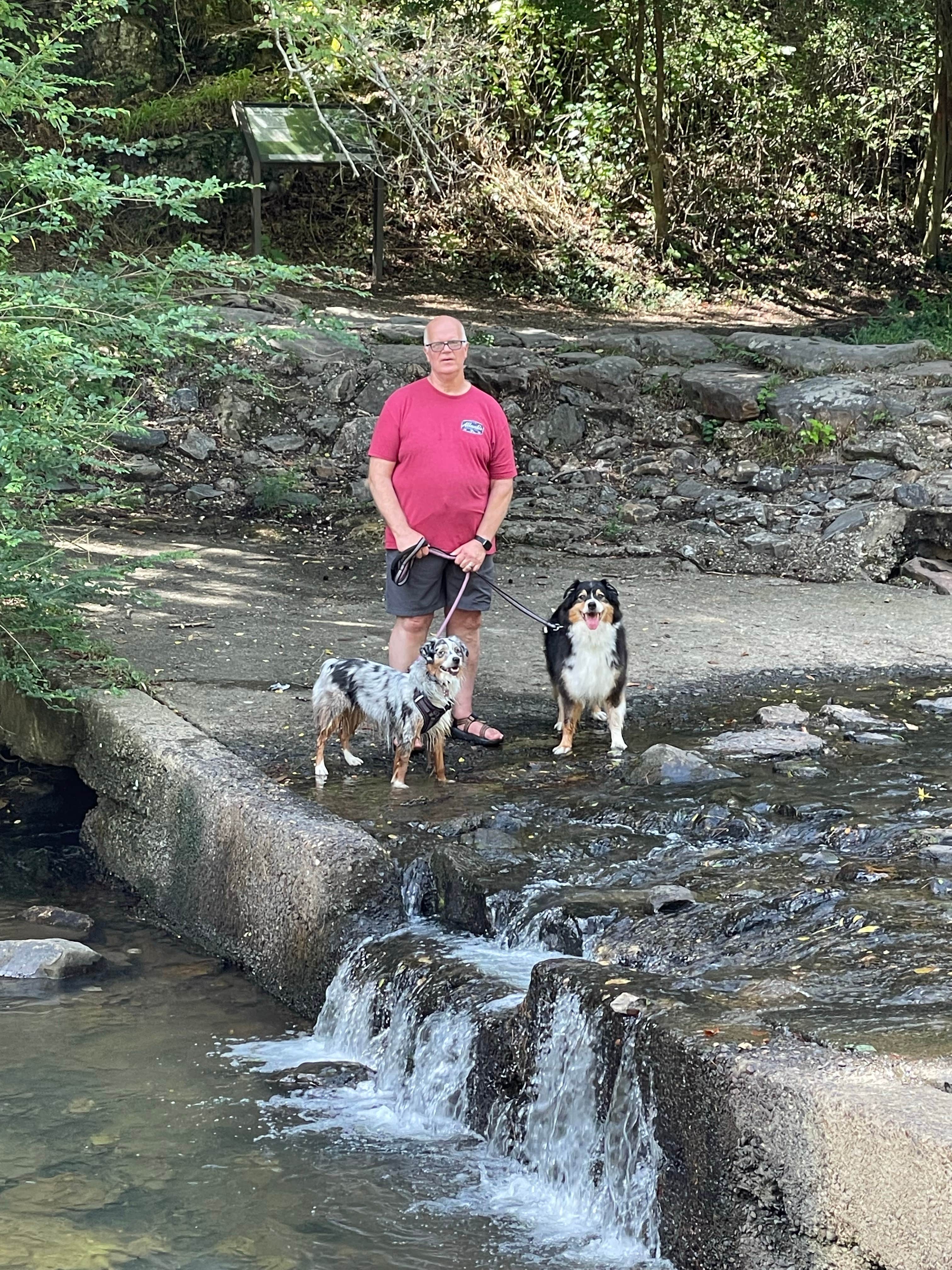 Kimberly  N.'s photo of camping with pets at Gulpha Gorge Campground — Hot Springs National Park near Malvern, AR