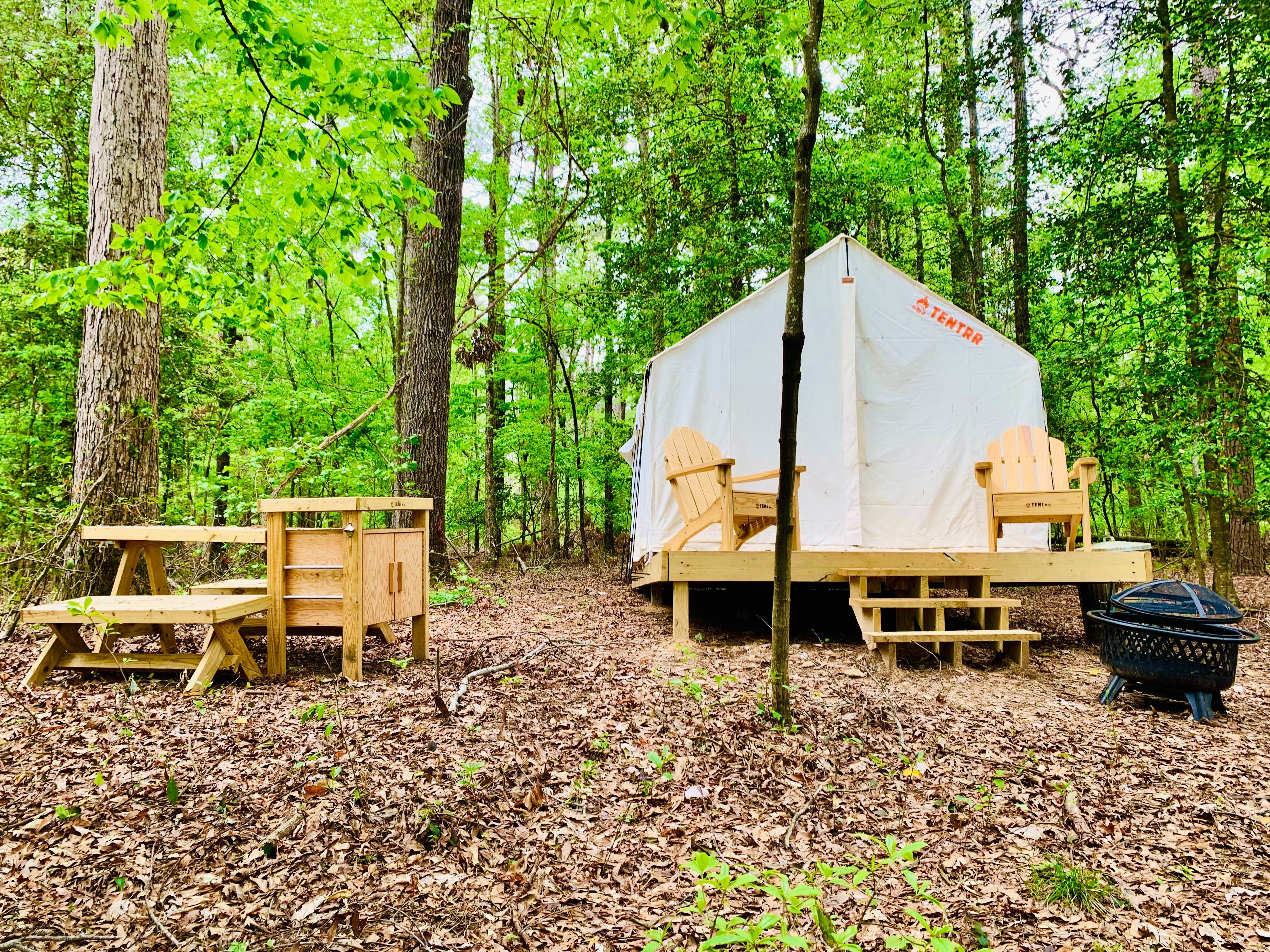 The Dyrt's photo at Tentrr State Park Site - Louisiana Lake D'Arbonne State Park - Site D - Single Camp near Junction City, AR