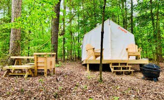 The Dyrt's photo at Tentrr State Park Site - Louisiana Lake D'Arbonne State Park - Site D - Single Camp near Monroe, LA