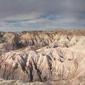 Review photo of Petrified Forest National Wilderness Area — Petrified Forest National Park by Crystal C., July 23, 2018