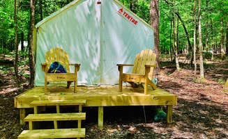 The Dyrt's photo at Tentrr State Park Site - Louisiana Lake D'Arbonne State Park - Site B - Louisiana near Monroe, LA
