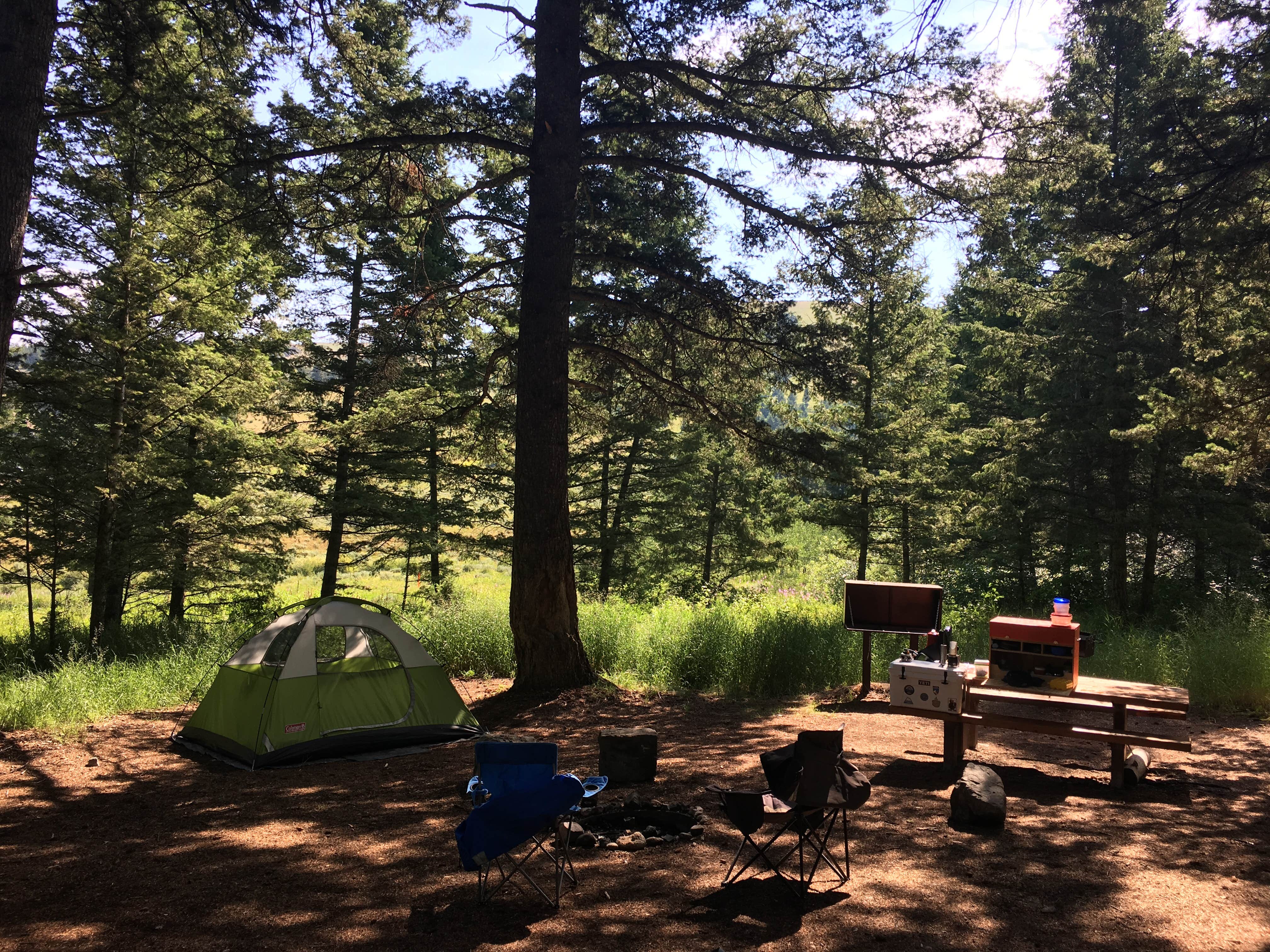 Camper submitted image from Curtis Canyon Campground - 3
