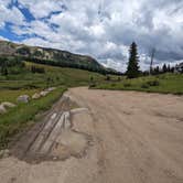 Review photo of Lizard Head Pass by Greg L., August 10, 2022