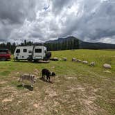 Review photo of Lizard Head Pass by Greg L., August 10, 2022